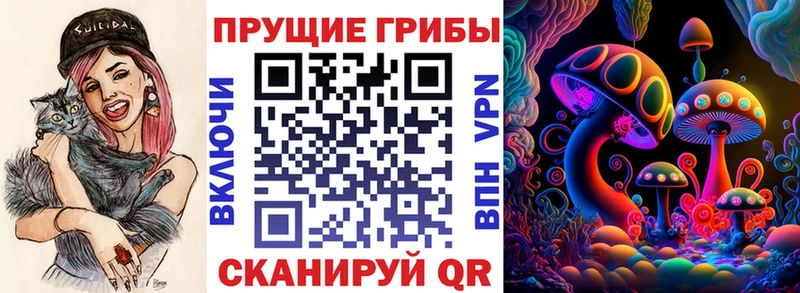 Галлюциногенные грибы MAGIC MUSHROOMS  Купить  Тейково 